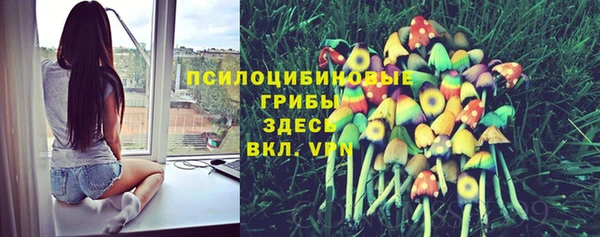 СК Корсаков