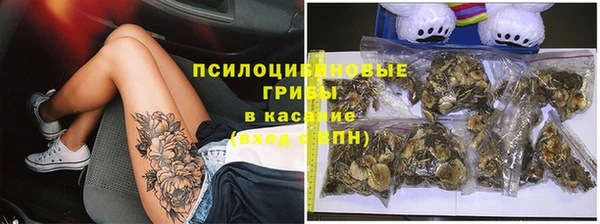 трава Костерёво