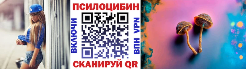 Псилоцибиновые грибы мицелий  Купить закладки  Байкальск 